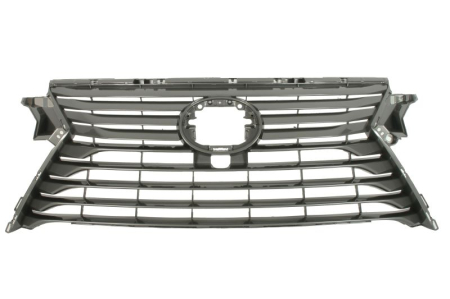 Grile - Grila radiator cu orificii camera potrivita LEXUS RX AL20 2015-2022