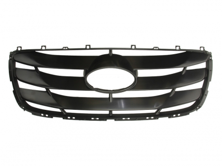 Grile - Grila radiator fata potrivit HYUNDAI SANTA FĂ‰ II 2009-2012 - negra