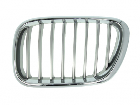 Grile - Grila radiator fata stanga titanium BMW X5 E53 intre 2000-2003