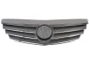 Grila radiator MERCEDES-BENZ B-CLASS (W245) 2005-2011 [1]