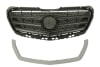 Grile - Grila radiator Mijloc cu dunga, negru/grunduit potrivit MERCEDES SPRINTER 3,5-T B906, SPRINTER 3-T B906, SPRINTER 3-T B910, SPRINTER 4,6-T B906 1.8-3.5 dupa 2006