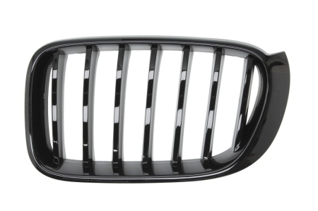 Grile - Grila radiator Stanga Fata (M-PAKIET, lucios/negru) potrivit BMW X3 F25, X4 F26 2014-2018