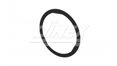 Inel etansare galerie evacuare potrivit DAF XF EURO 6 [1]