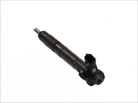 Injector common rail OPEL VIVARO A; RENAULT ESPACE IV, GRAND SCENIC II, KOLEOS I, LAGUNA, LAGUNA II, LAGUNA III, LATITUDE, MEGANE II, SCENIC II, TRAFIC II, VEL SATIS 2.0D dupa 2005 [1]