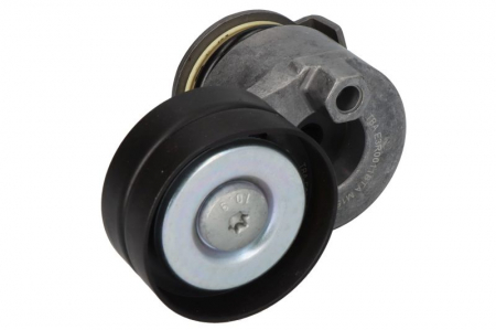Distributie - Intinzator curea transmisie potrivit RENAULT CLIO III, DUSTER, GRAND SCENIC II, GRAND SCENIC III, MEGANE, MEGANE I, MEGANE II, MEGANE III, SCENIC II, SCENIC III 1.9D/2.0 01.02-