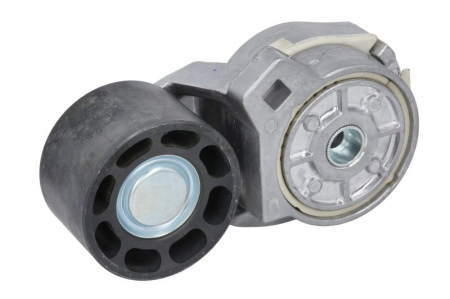 Distributie - Intinzator curea transmisie potrivit RVI MAGNUM MIDR06.24.65C/42 11.96-
