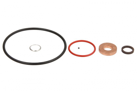 Injectie centrala/comanda - Kit de montaj injector CR BOSCH (potrivit 0 445 110 284)