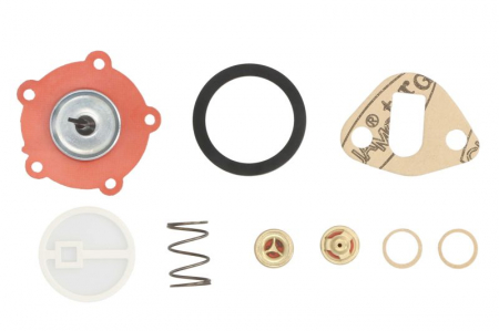 Pompa combustibil - Kit reparare pompa combustibil potrivit LANDINI 4000, 5000, ADVANTAGE, GLOBUS, GREEN, MF; MASSEY FERGUSON 100, 1000, 200, 2000, 30, 300, 3000, 400, 500, 600