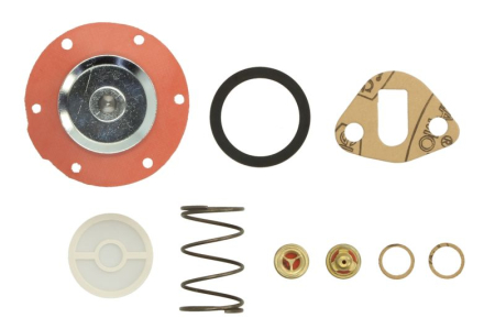 Kit reparatie pompa combustibil potrivit HYSTER H, S; LANDINI 6000; MASSEY FERGUSON 100, 2000, 30, 300, 3000, 400, 50, 60, 700, 80, 800 [1]