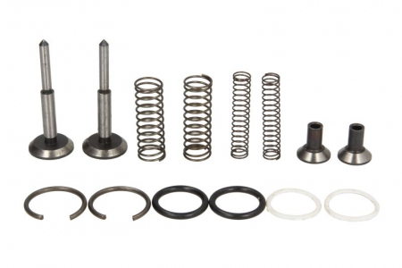 Pompa apa - Kit reparatie pompa hidraulica potrivit MASSEY FERGUSON 100, 1000, 200, 4000, 500 1200/1250/150/230/230 UK/231/231 S/240/240 S/240 UK /243/4255/4255HV/4325/4325HV/550/565/575