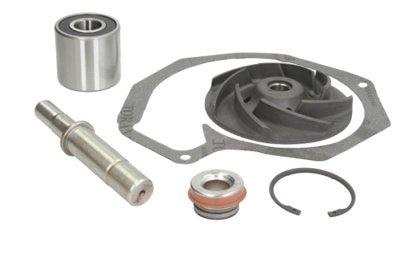 Garnituri - Kit reparatie pompa racire (ax; element de reparatie; garnitura/simering; rotor fund; rulment; siguranta) potrivit DAF 85 CF, 95 XF, CF 85, SB, XF 95; SOLARIS URBINO I 6BT5.9-XF355M 01.74-