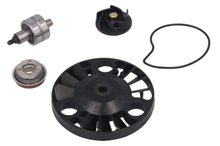 Elemente rezervor combustibil - Kit reparatie pompa racire potrivit APRILIA ATLANTIC, SCARABEO, SPORTCITY; DERBI GP1, RAMBLA; GILERA NEXUS, RUNNER; MALAGUTI MADISON; PIAGGIO/VESPA BEVERLY, CARNABY 125/200 2002-2016