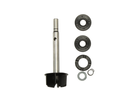 Elemente rezervor combustibil - Kit reparatie pompa racire potrivit APRILIA LEONARDO, SCARABEO 125/150/200 1996-2004