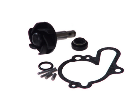 Elemente rezervor combustibil - Kit reparatie pompa racire potrivit APRILIA RS; BETA ARK; GAS GAS ENDURO, SUPERMOTO; RIEJU MRX, RR, RS, RS-1, RS-2, SMX; YAMAHA DT 50/125 1980-2006