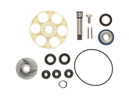 Elemente rezervor combustibil - Kit reparatie pompa racire potrivit APRILIA SCARABEO, SR; SUZUKI AY 50 2000-2012