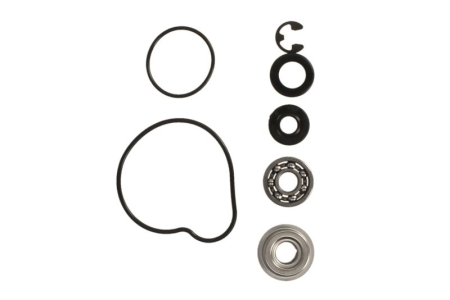 Elemente rezervor combustibil - Kit reparatie pompa racire potrivit ARCTIC CAT ALTERRA, ARCTIC CAT, PROWLER 500-700 2005-2019