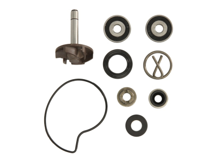 Elemente rezervor combustibil - Kit reparatie pompa racire potrivit DERBI ATLANTIS; PIAGGIO/VESPA BEVERLY 50/250 1998-2005