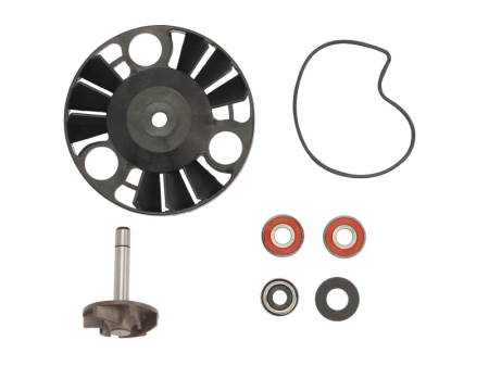 Elemente rezervor combustibil - Kit reparatie pompa racire potrivit GILERA D.N.A, RUNNER; PIAGGIO/VESPA BEVERLY, GRANAutoturismO, HEXAGON, X9 125/180/200 2000-2013