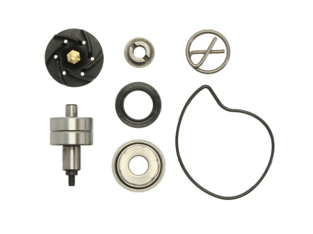 Elemente rezervor combustibil - Kit reparatie pompa racire potrivit GILERA NEXUS, OREGON; PIAGGIO/VESPA BEVERLY, CARNABY, GTS, GTV, MP3, X7, X8, X9, X-EVO 200/250/300 2004-2010