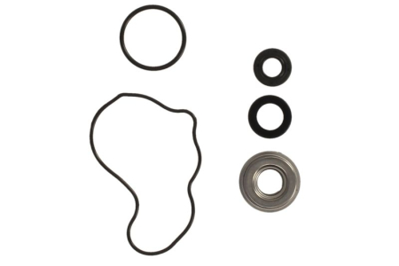 Elemente rezervor combustibil - Kit reparatie pompa racire potrivit HONDA BIG RED, SXS, TRX 650/680/700 2003-2020