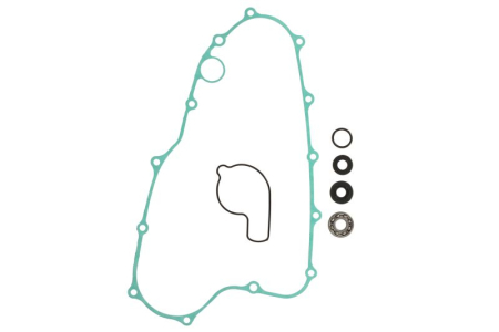 Elemente rezervor combustibil - Kit reparatie pompa racire potrivit HONDA CRF 450 2002-2008