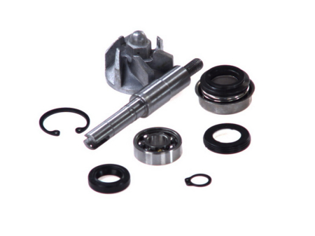 Elemente rezervor combustibil - Kit reparatie pompa racire potrivit HONDA FES, NES, SES, SH 125 1998-2007