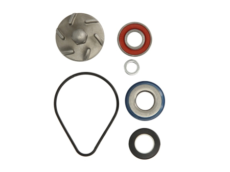 Elemente rezervor combustibil - Kit reparatie pompa racire potrivit HONDA FES, PANTHEON 125/150 1998-2002