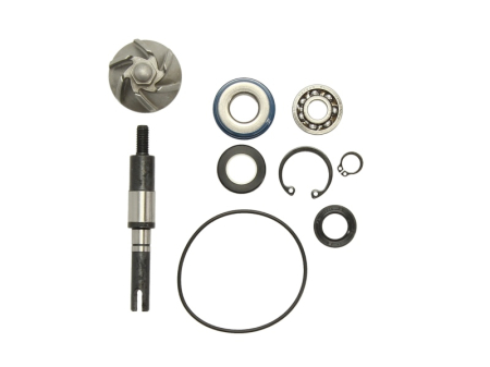 Elemente rezervor combustibil - Kit reparatie pompa racire potrivit HONDA SH 125/150 2001-2009