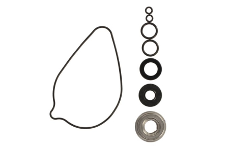 Elemente rezervor combustibil - Kit reparatie pompa racire potrivit HONDA TRX 420 2009-2016