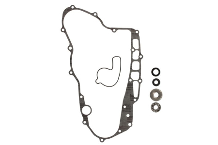 Elemente rezervor combustibil - Kit reparatie pompa racire potrivit HONDA TRX 450 2004-2005