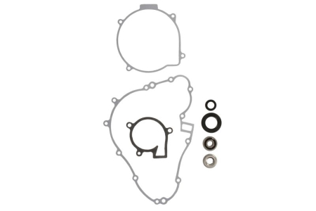 Elemente rezervor combustibil - Kit reparatie pompa racire potrivit KAWASAKI KVF 400 1997-2002