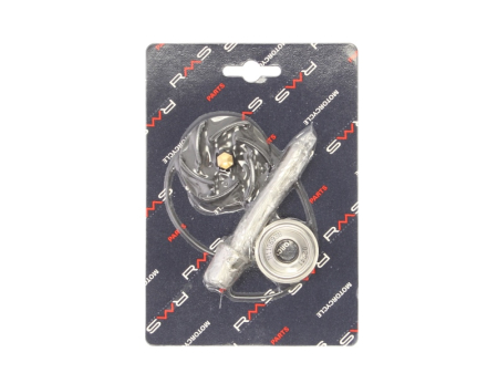 Elemente rezervor combustibil - Kit reparatie pompa racire potrivit PIAGGIO/VESPA BEVERLY 400/500 2002-2012
