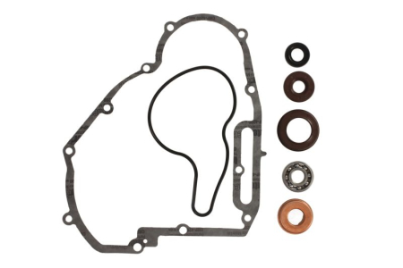 Elemente rezervor combustibil - Kit reparatie pompa racire potrivit POLARIS RANGER, RZR, SPORTSMAN 800 2011-2016