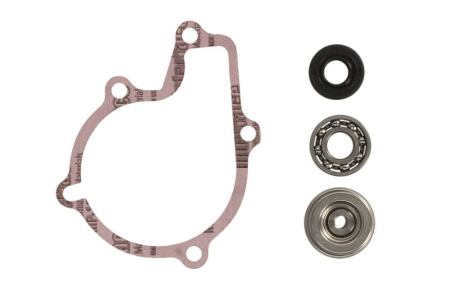 Elemente rezervor combustibil - Kit reparatie pompa racire potrivit POLARIS SPORTSMAN 550 2009-2014