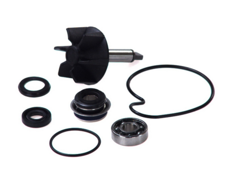 Elemente rezervor combustibil - Kit reparatie pompa racire potrivit SUZUKI AN 250/400 1998-2007