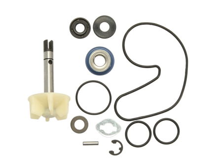 Elemente rezervor combustibil - Kit reparatie pompa racire potrivit SUZUKI AN 400 2007-2008