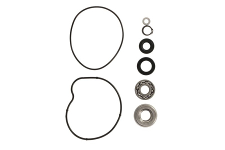 Elemente rezervor combustibil - Kit reparatie pompa racire potrivit YAMAHA YFM 660 2001-2005