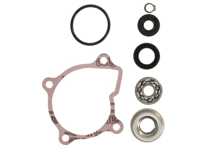 Elemente rezervor combustibil - Kit reparatie pompa racire potrivit YAMAHA YFM 660 2002-2008