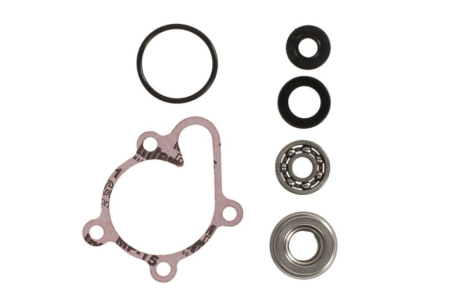 Elemente rezervor combustibil - Kit reparatie pompa racire potrivit YAMAHA YFM, YXR 400/450 2000-2022