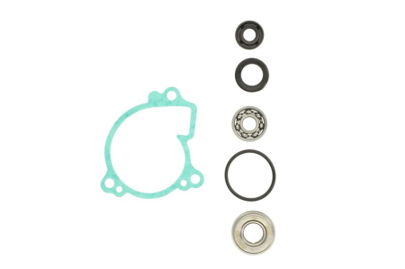 Elemente rezervor combustibil - Kit reparatie pompa racire potrivit YAMAHA YFM, YXR 550/700 2007-2015