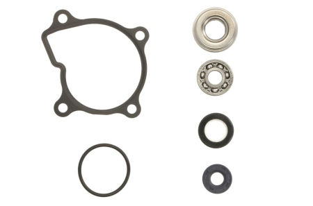 Elemente rezervor combustibil - Kit reparatie pompa racire potrivit YAMAHA YFM, YXR 660 2002-2008