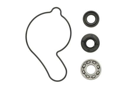Elemente rezervor combustibil - Kit reparatie pompa racire potrivit YAMAHA YFZ 450 2004-2013