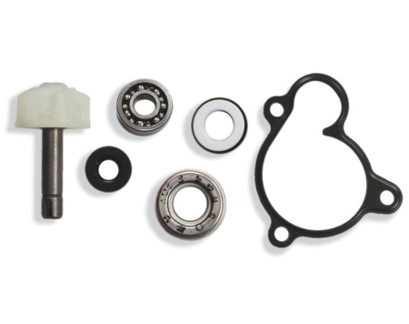 Elemente rezervor combustibil - Kit reparatie pompa racire potrivit YAMAHA YP 250 1996-2003