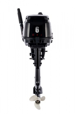 Motor exterior F6, control manual, tija de control, pornire: manual, tip coloana: lunga [1]