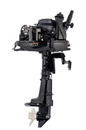 Motor exterior F6, control manual, tija de control, pornire: manual, tip coloana: lunga [3]