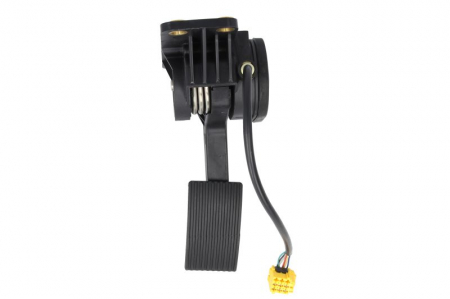 Pedala acceleratie potrivit MERCEDES AXOR 2 10.04- [1]
