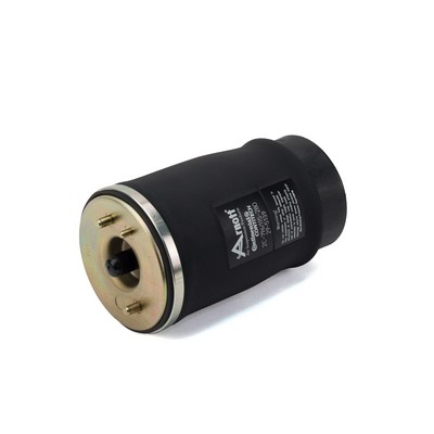 Perna aer suspensie Spate Dreapta potrivit BMW X5 (E53) 3.0-4.8 01.00-10.06 [2]