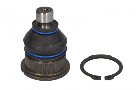 Pivot axa Dreapta/Stanga (fata) (diametru con 16mm) potrivit RENAULT MEGANE II, SCENIC I 1.4-2.0 06.00-02.08 [0]