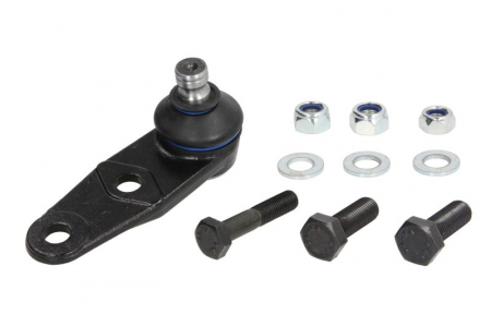 Pivot axa Dreapta/Stanga (inferior fata) (diametru con 16mm) potrivit RENAULT 19 I, 19 I CHAMADE, 19 II, 19 II CHAMADE, CLIO II, CLIO II/HATCHBACK, KANGOO, KANGOO EXPRESS 1.0-2.0 06.89- [0]