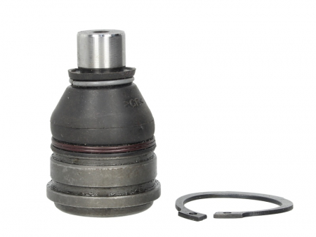 Pivot axa Dreapta/Stanga (inferior fata) (diametru con 17,5mm) potrivit FORD FIESTA VI; MAZDA 2, 6 1.0-2.3 06.02- [0]